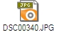 DSC00340.JPG