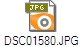 DSC01580.JPG