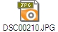 DSC00210.JPG