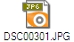 DSC00301.JPG