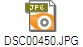 DSC00450.JPG
